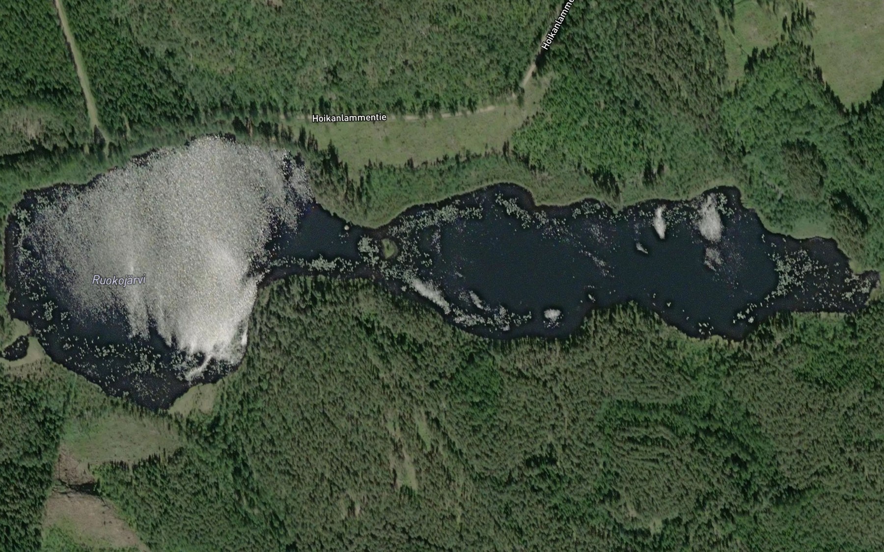 Satellite map of the Ruokojarvi