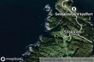 Bovik