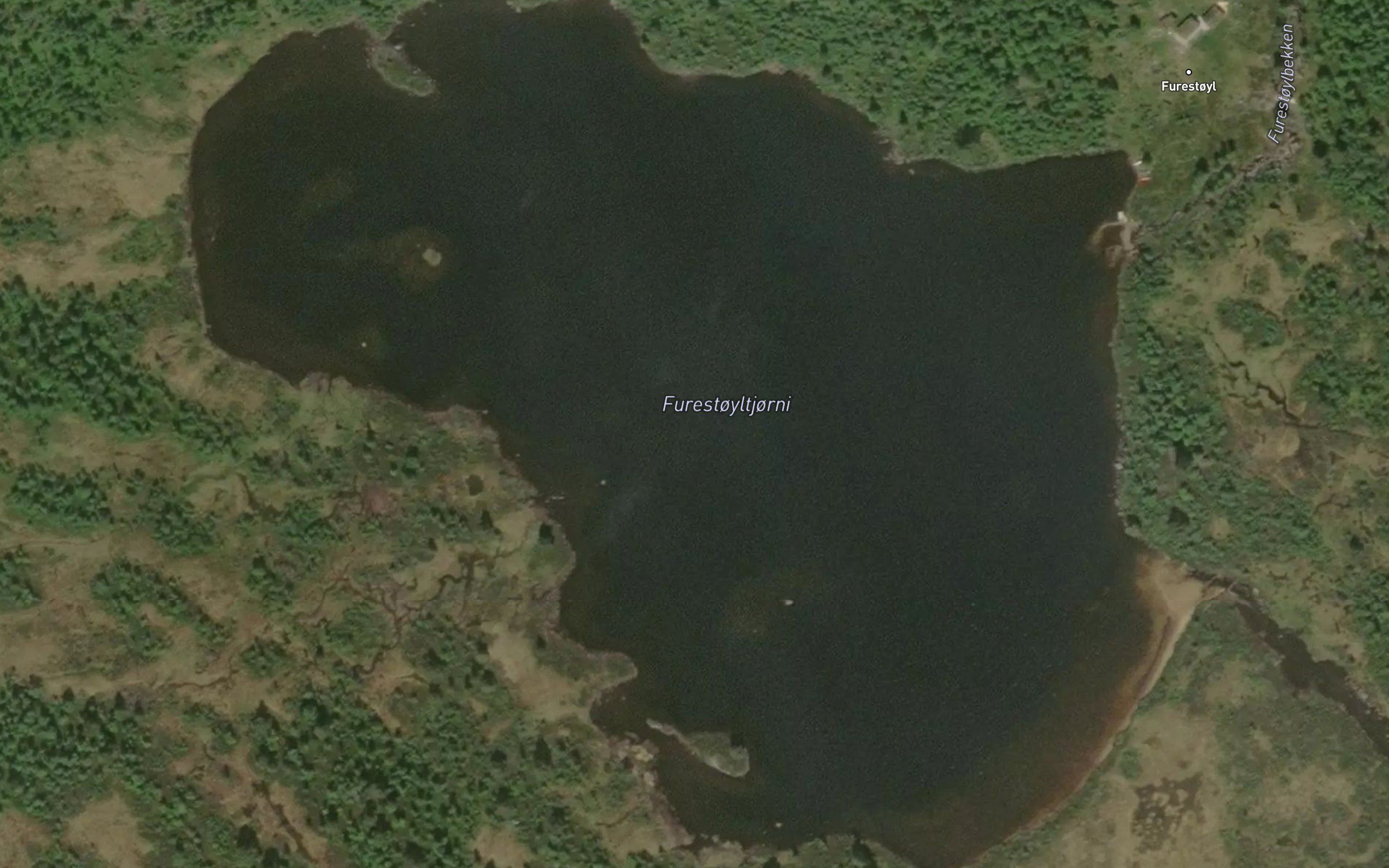 Furestoyltjonn