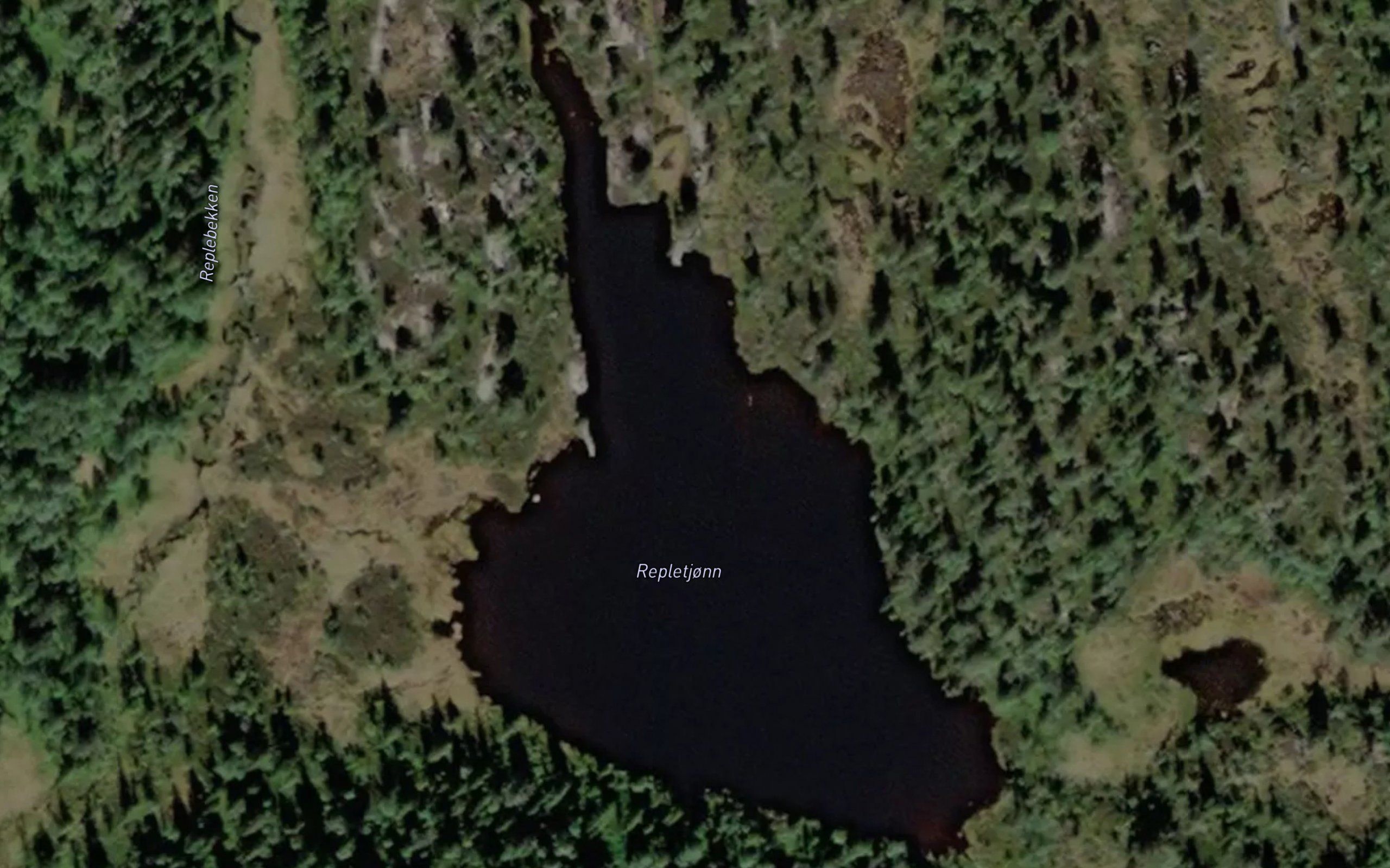 Repletjorn