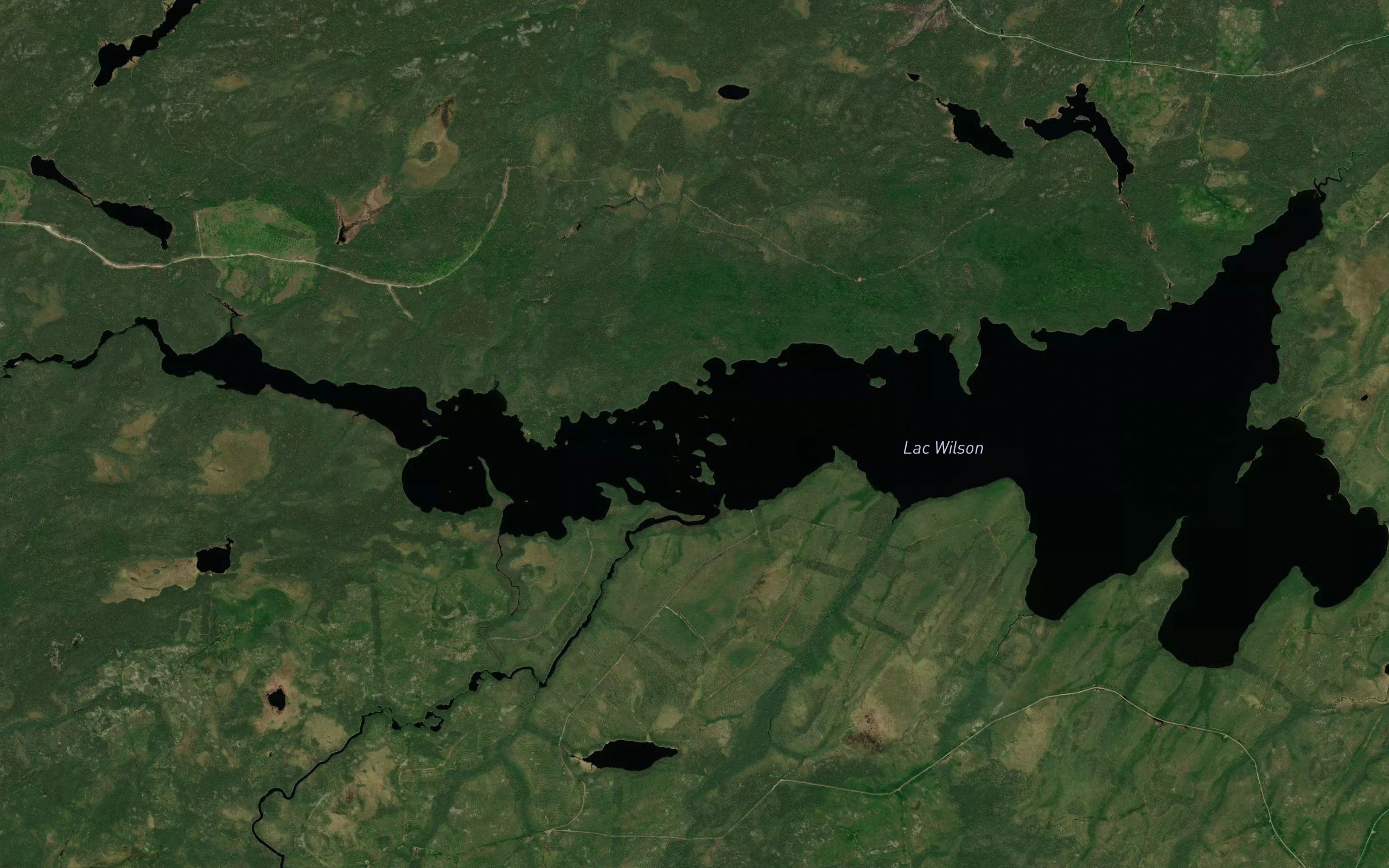 Lac Wilson