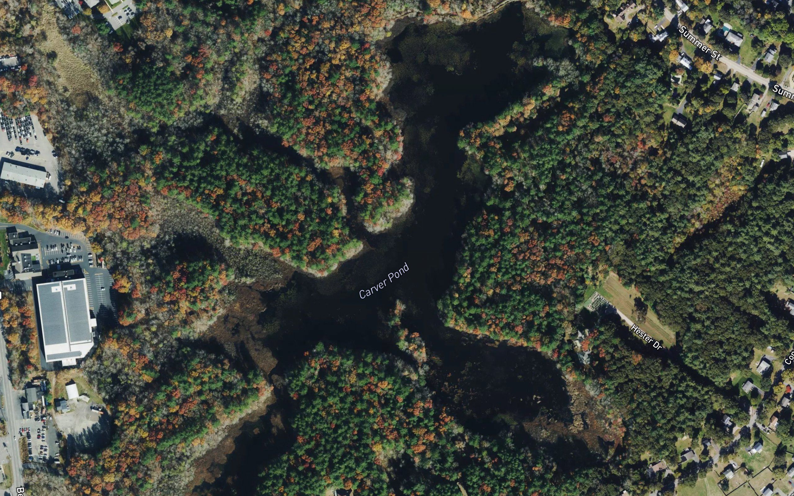 Carver Pond