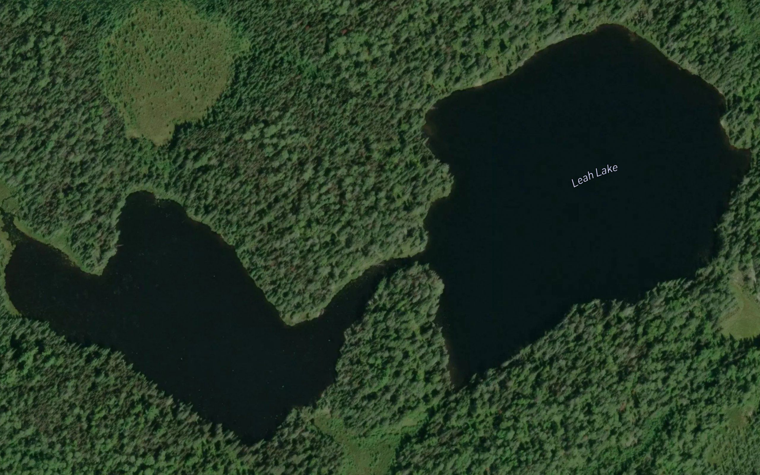Leah Lake