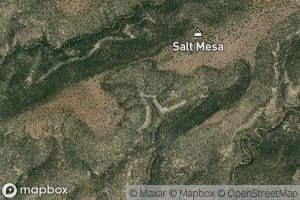 Salt Mesa Spring