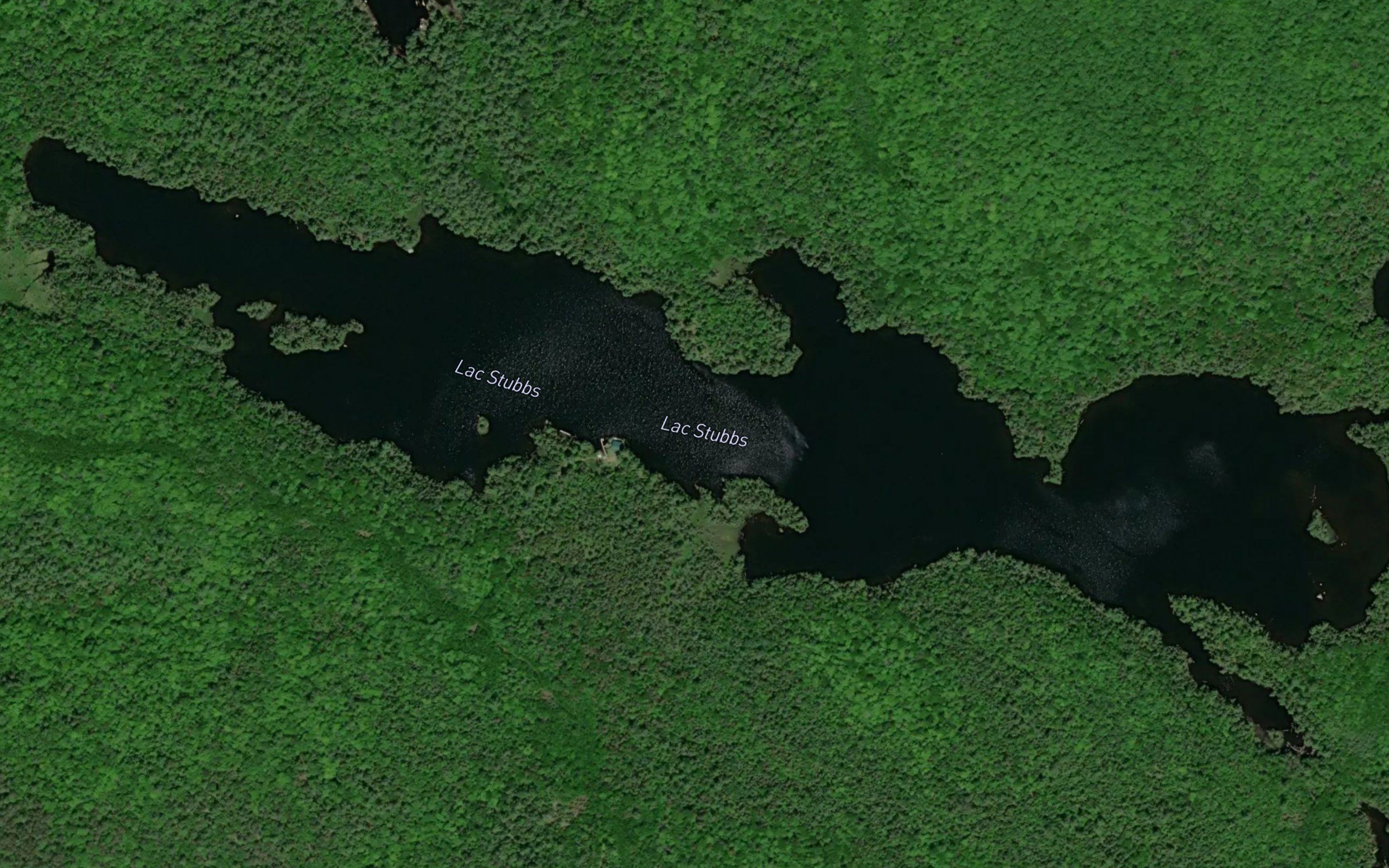 Lac Stubbs