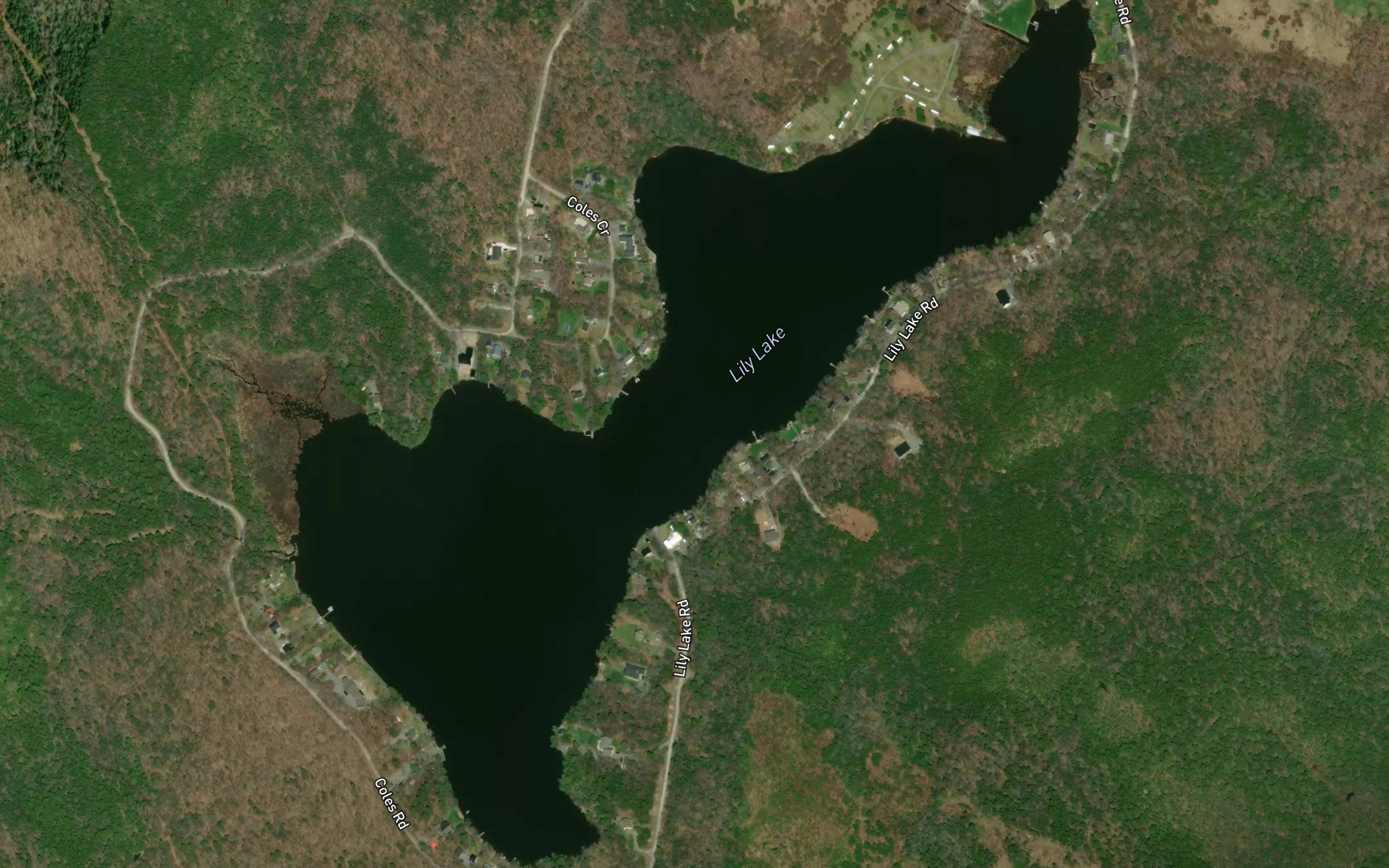 Lily Lake