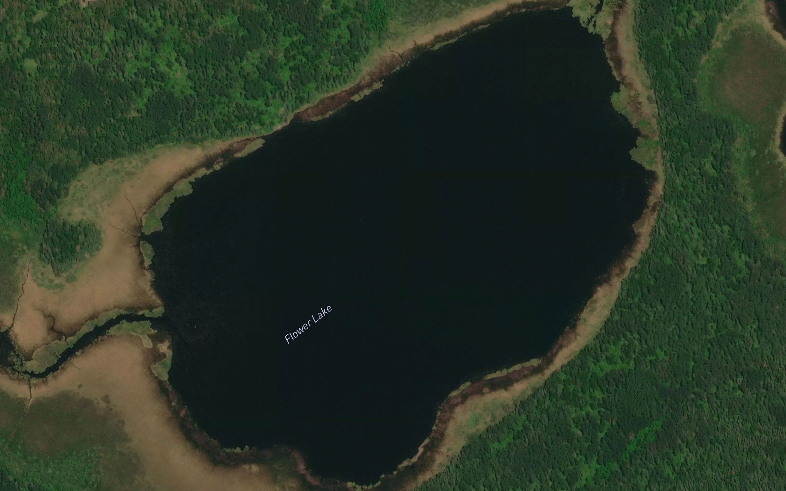 Flower Lake