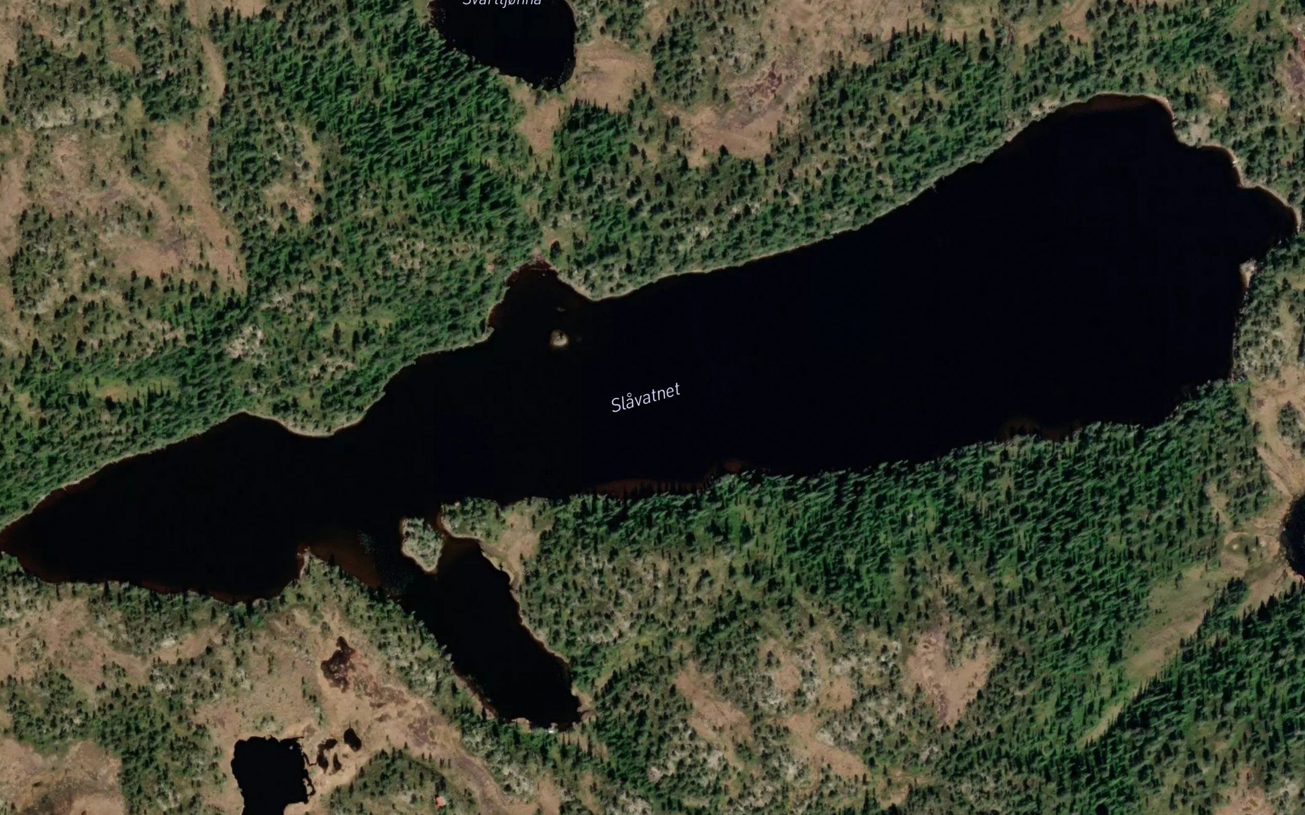 Slavatnet
