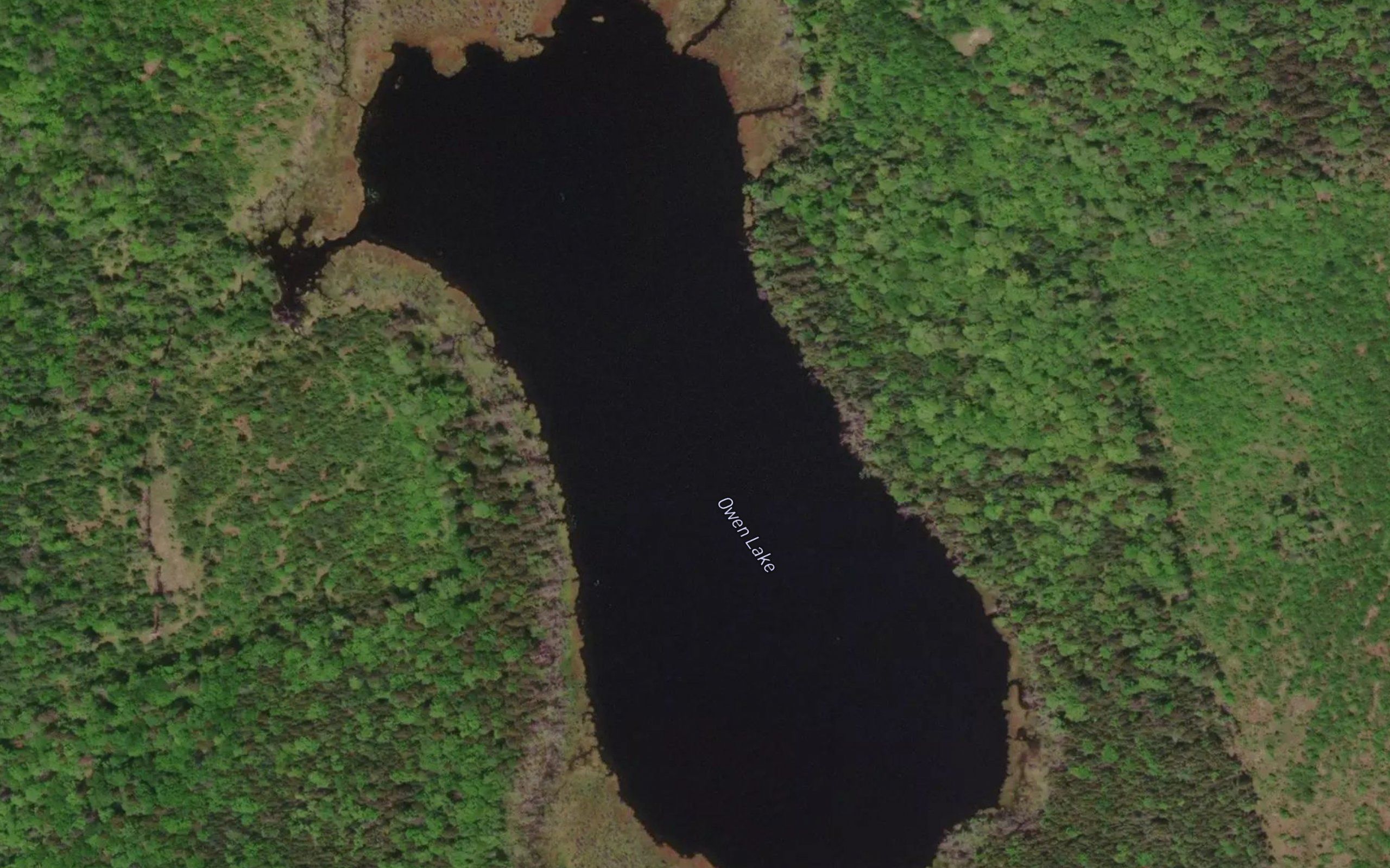 Owen Lake