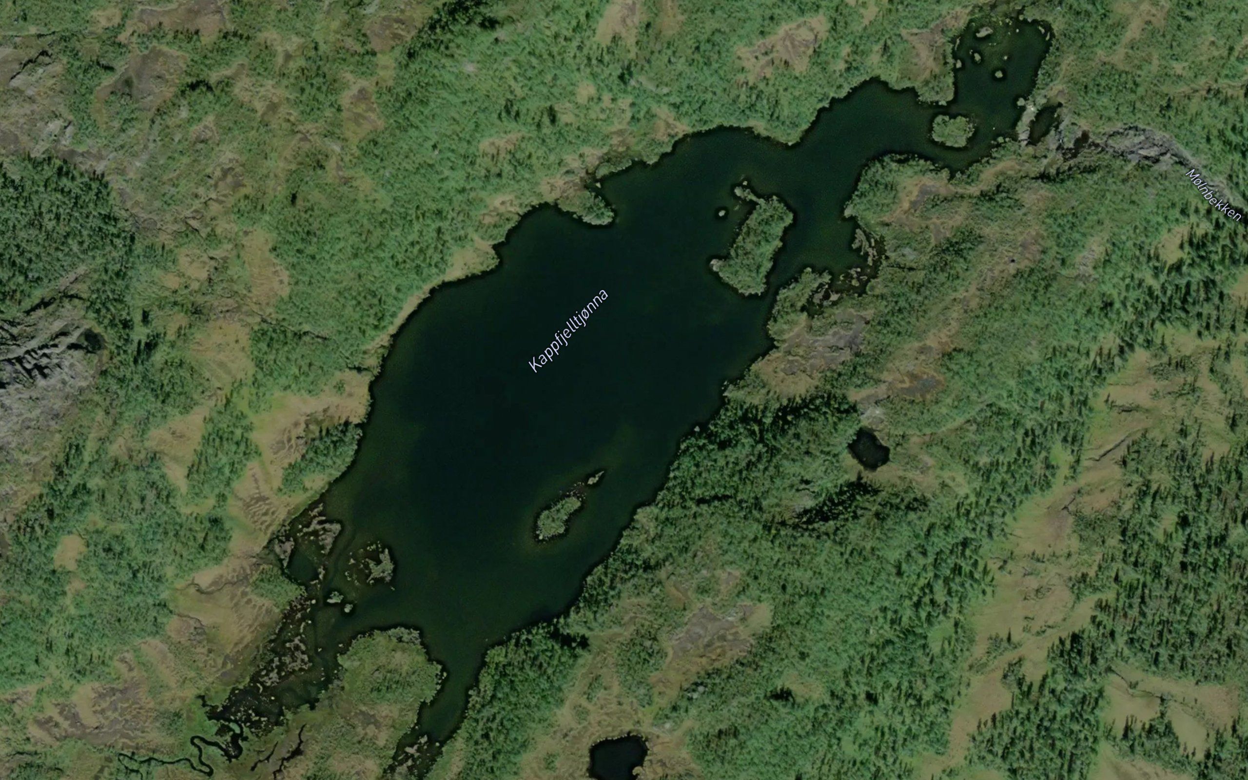 Kappfjelltjorna