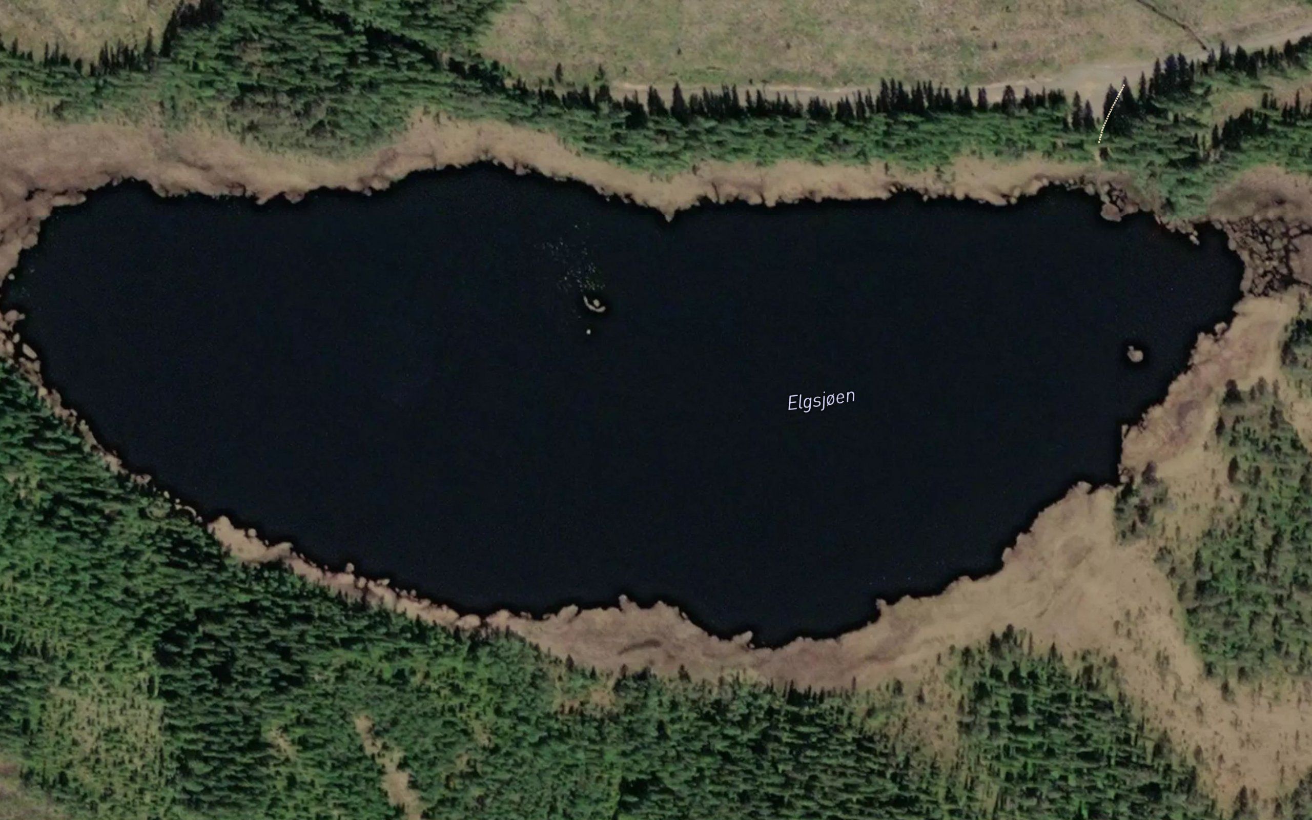 Elgsjoen