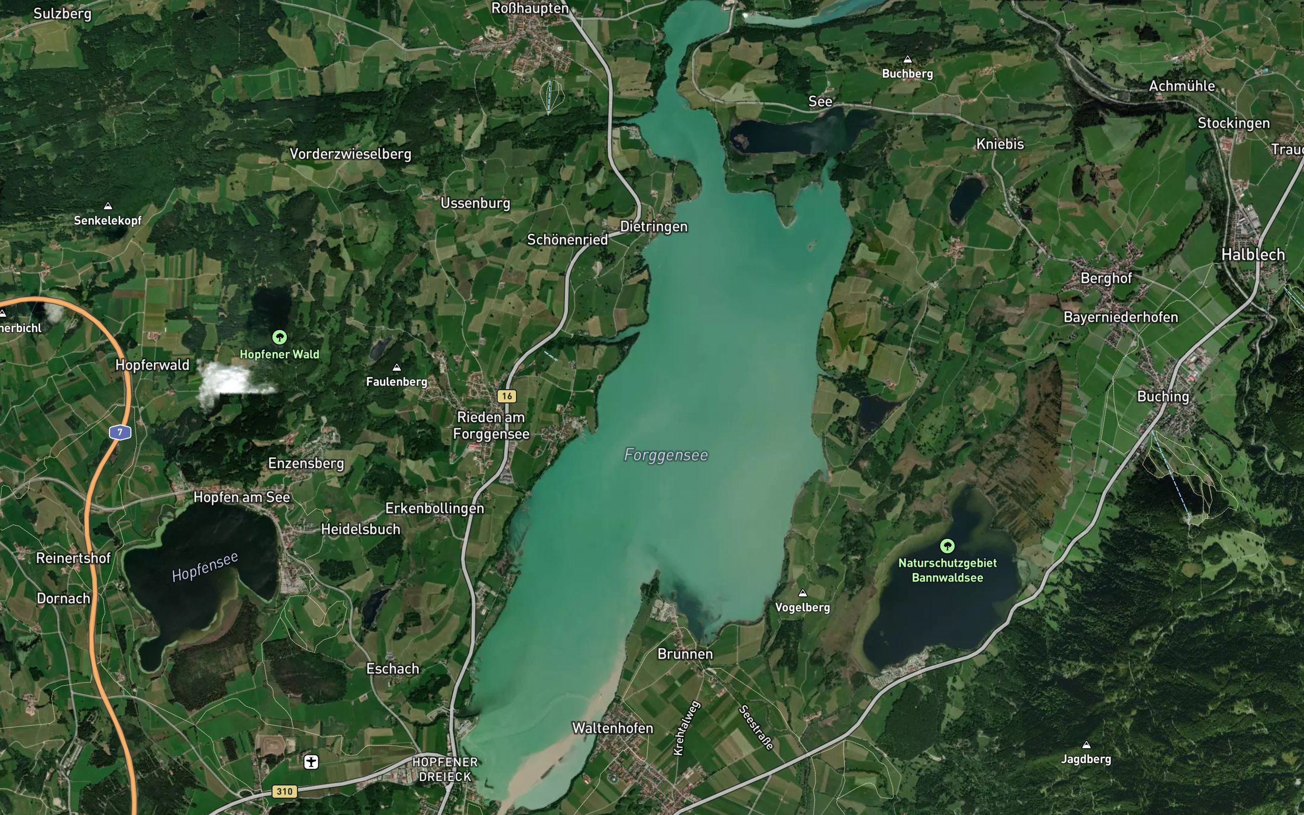Forggensee