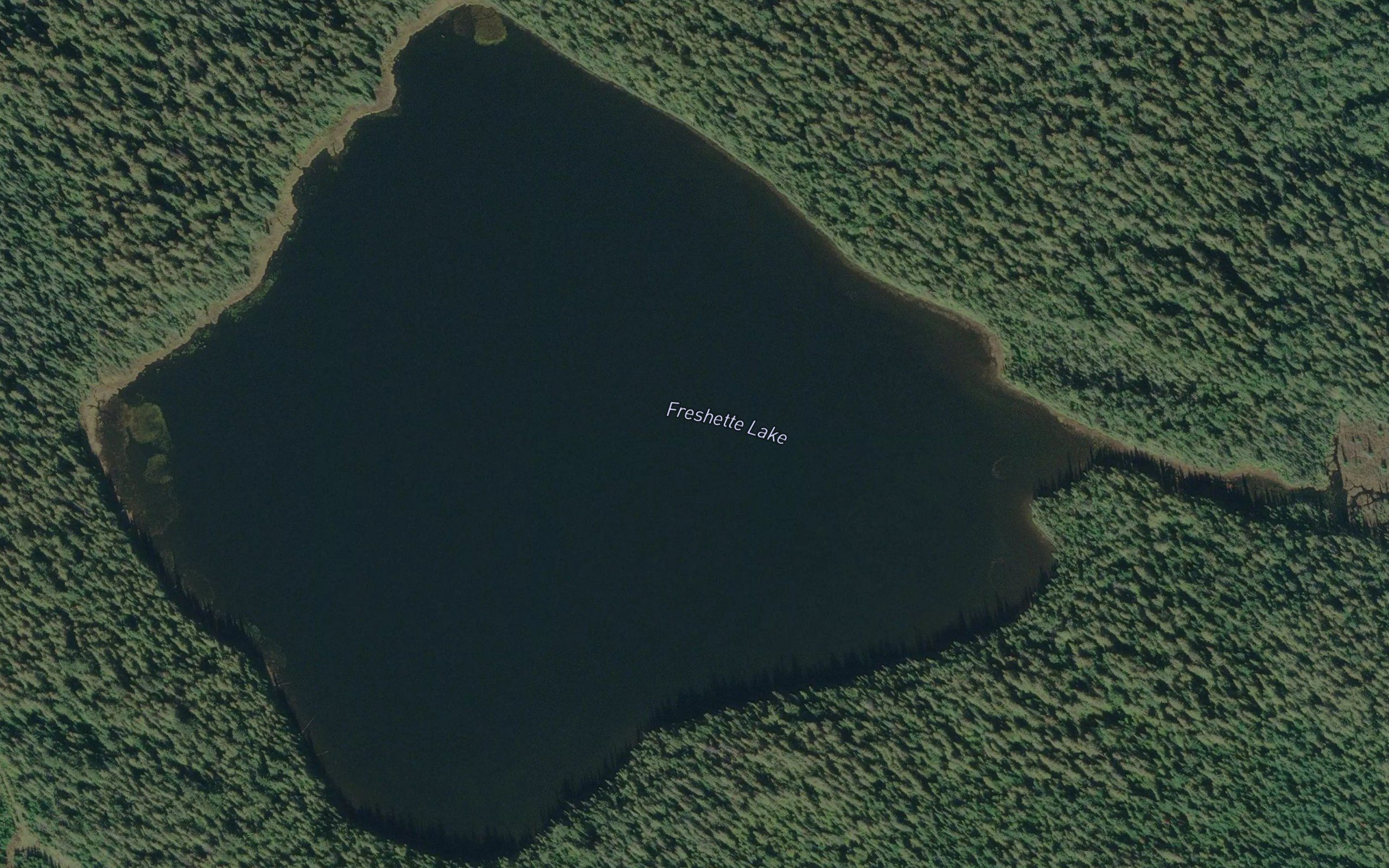 Freshette Lake