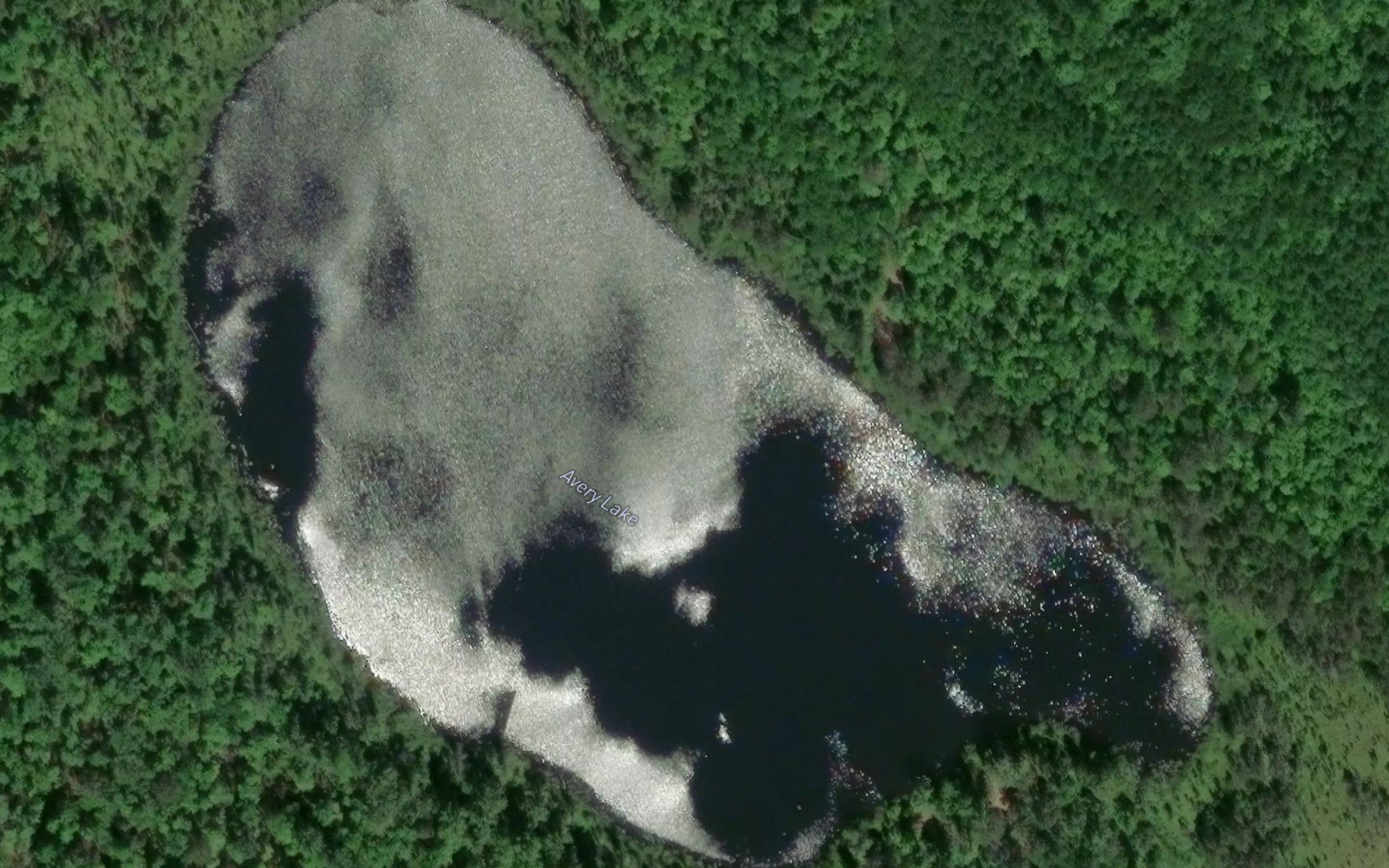 Avery Lake