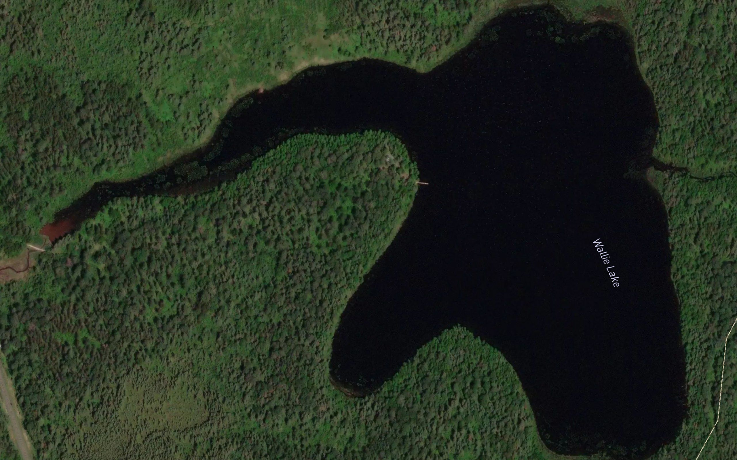 Wallie Lake