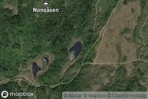 Vagatjonna