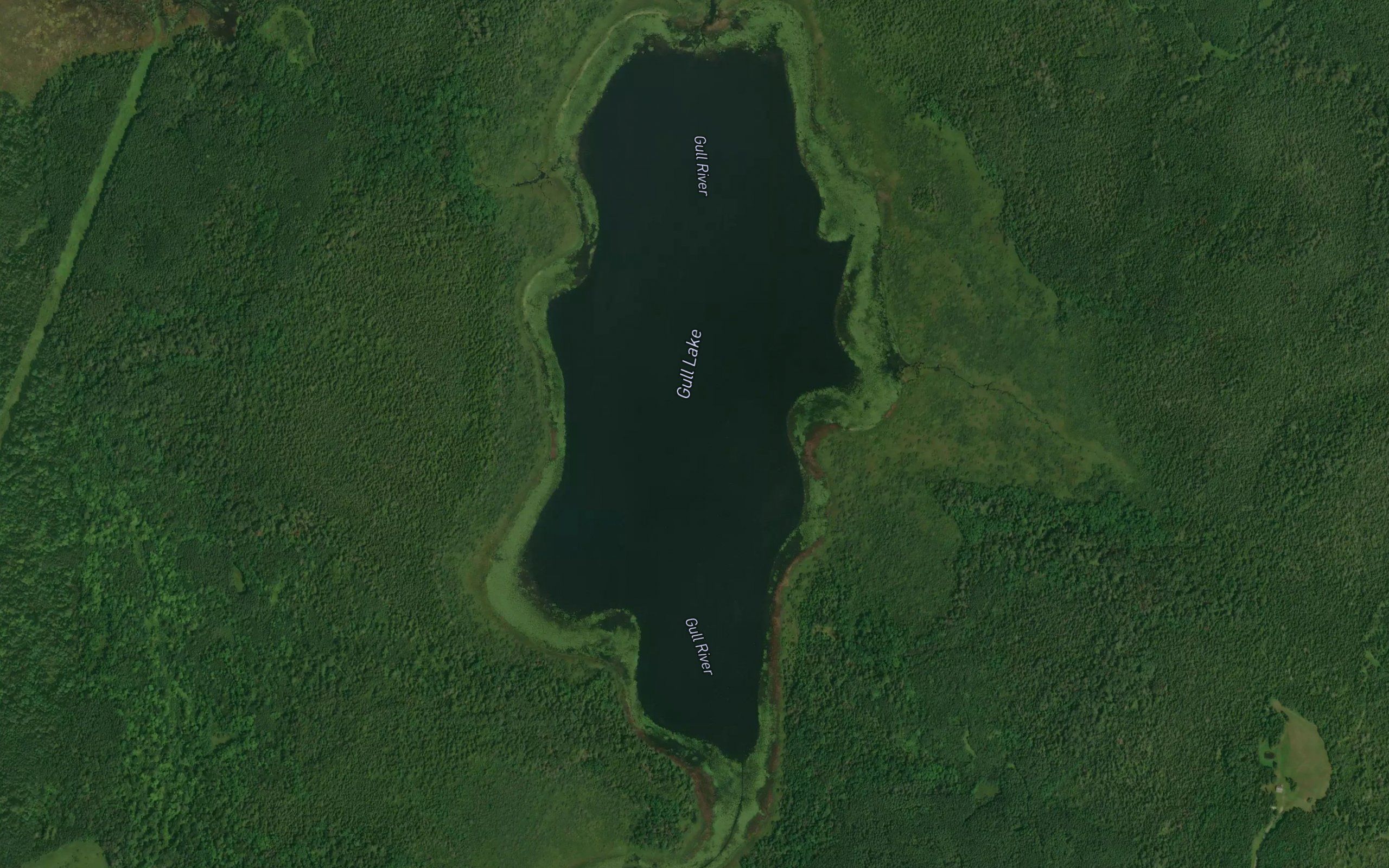 Gull Lake