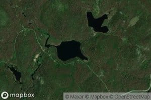 Lac des Cygnes