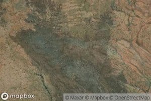 Neiliabublica Spring