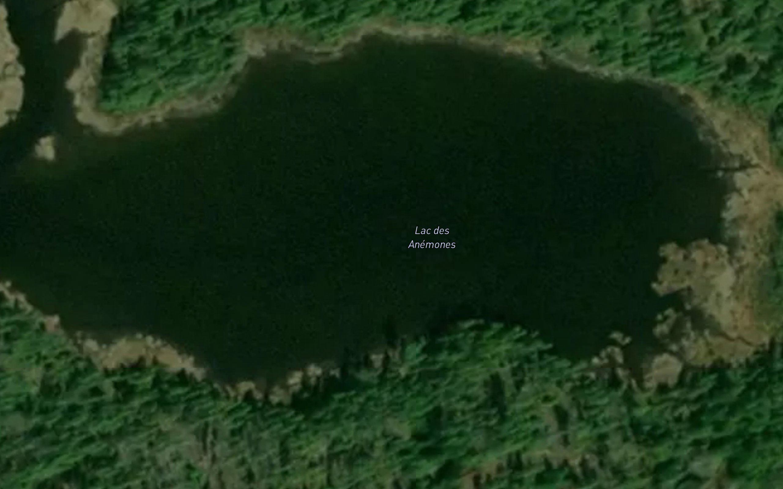Lac des Anemones