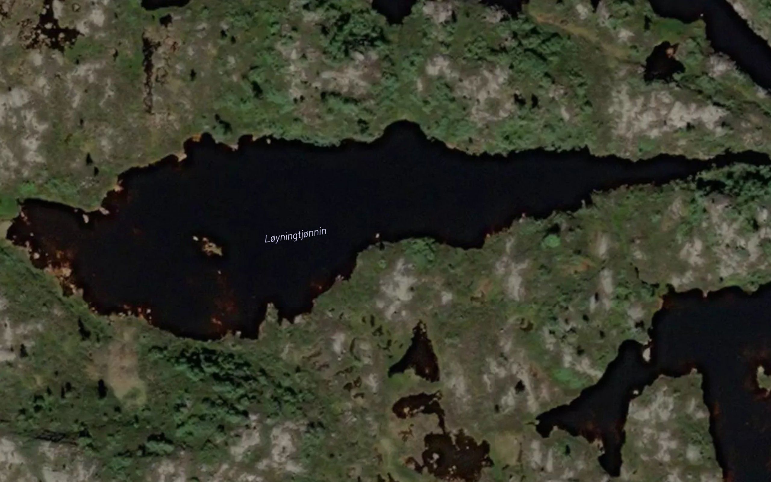 Loyningtjonnin