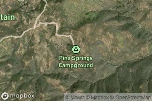 Pine Spring
