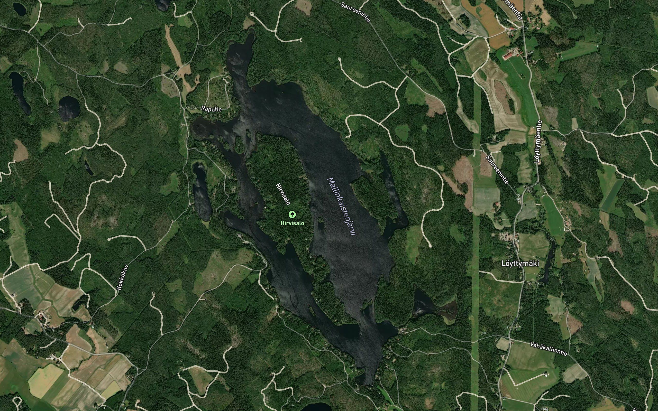 Selkakari