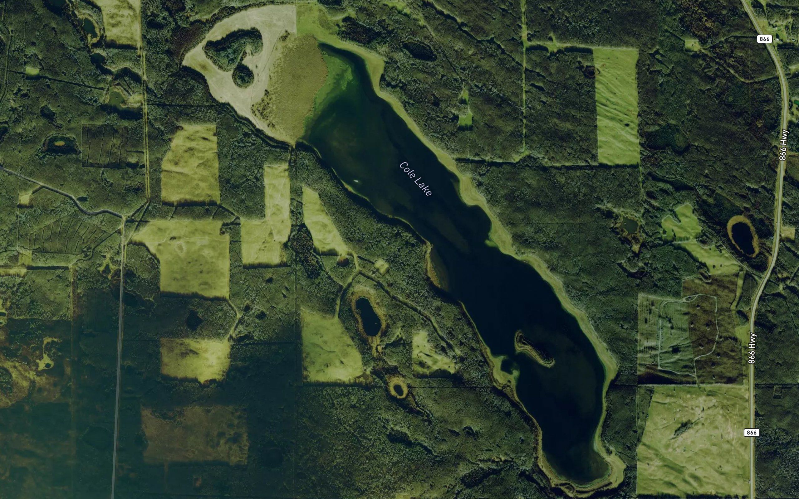Cole Lake