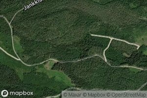 Honkikoski