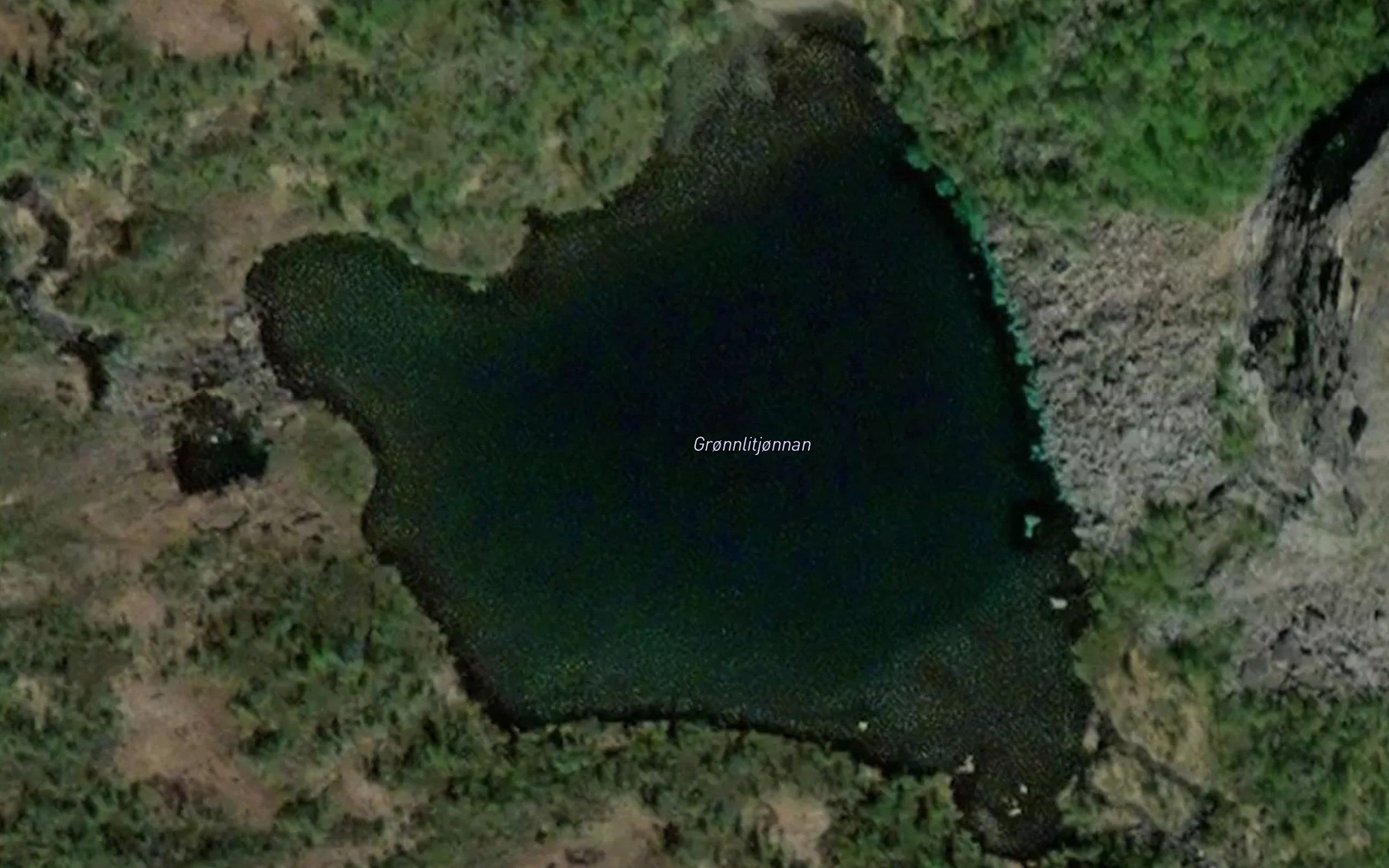 Gronlitjornan