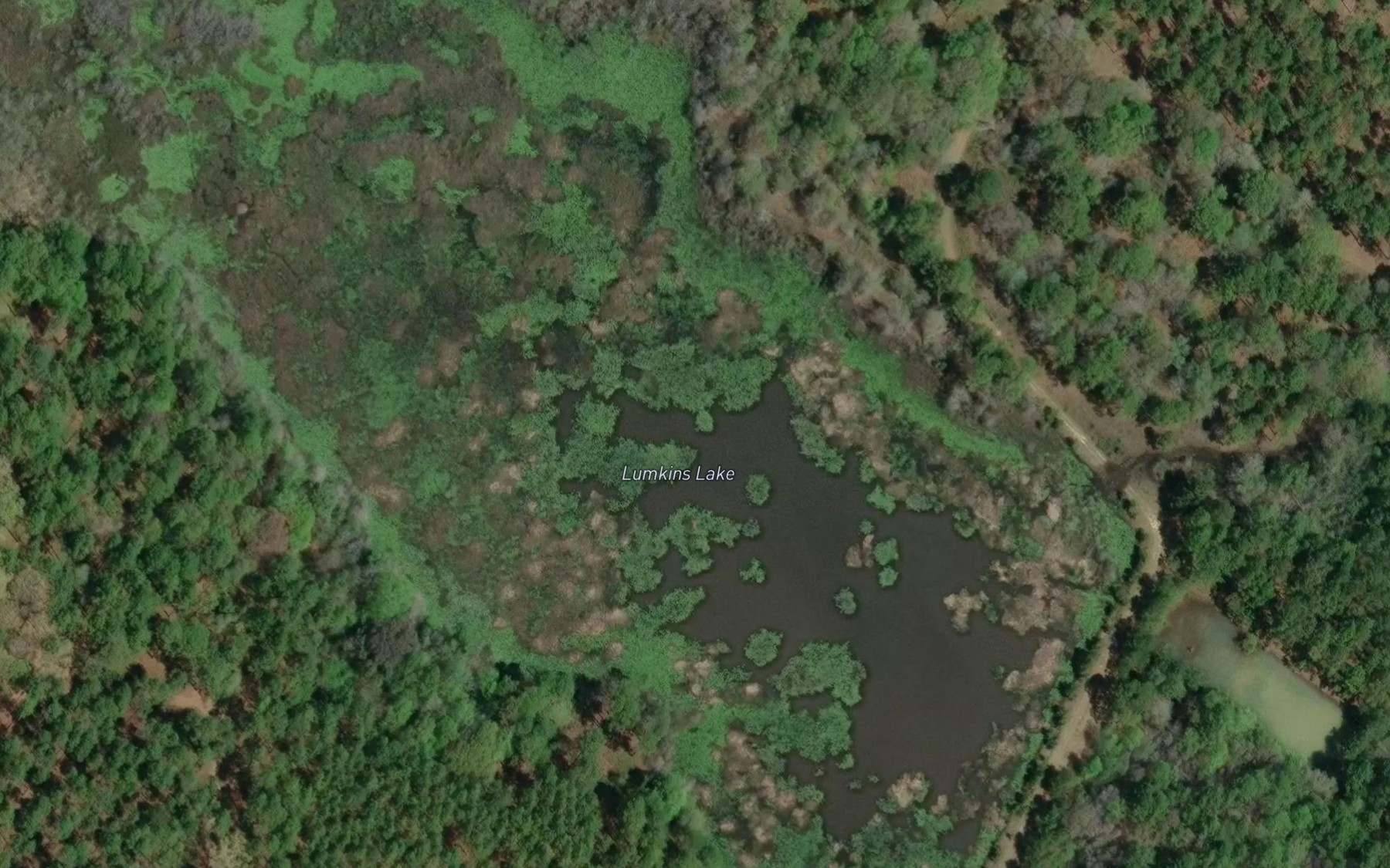 Satellite map of the Lumkins Lake