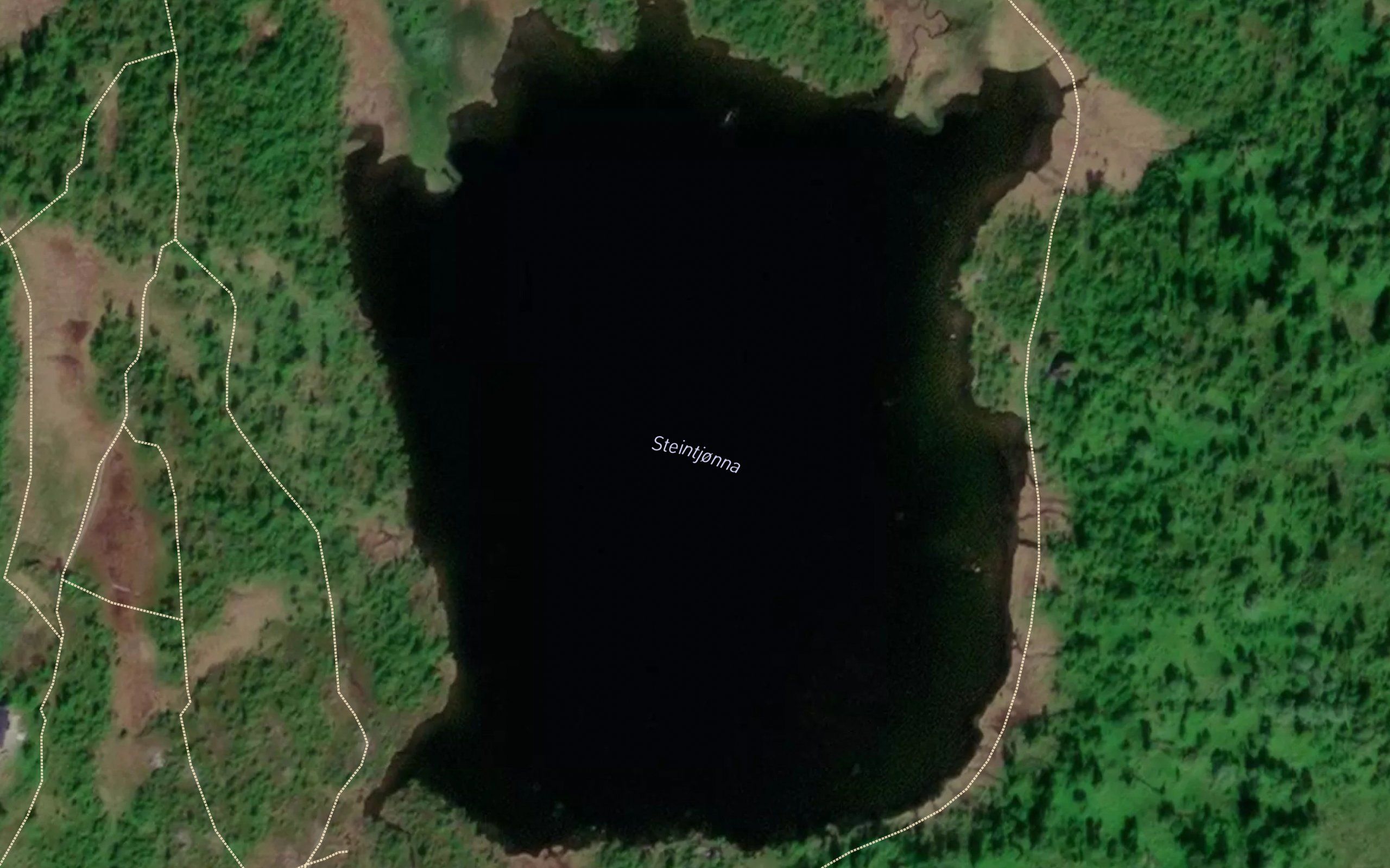 Steintjorna