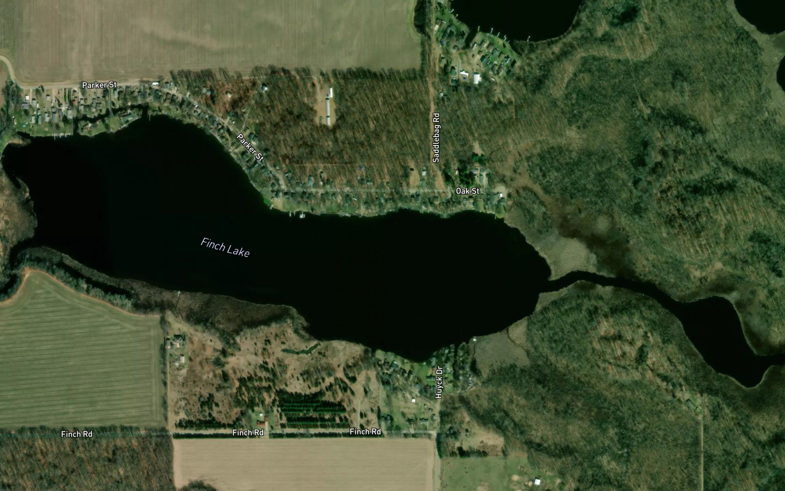 Finch Lake