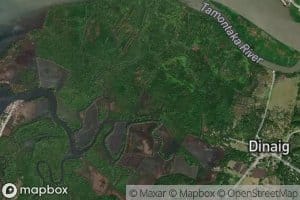 Don Roman Santos Fish Pond