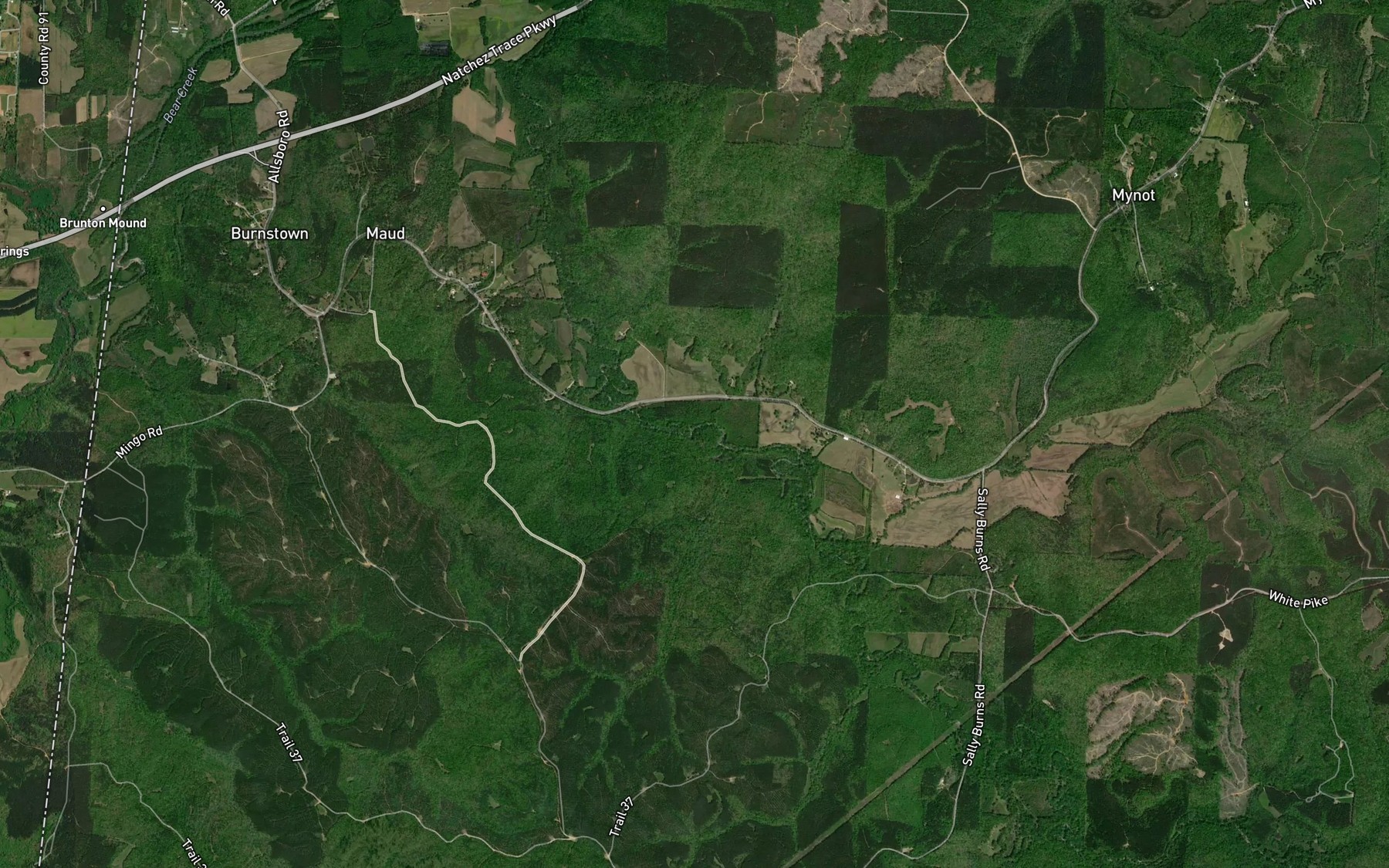 Satellite map of the Boldin Mill Branch
