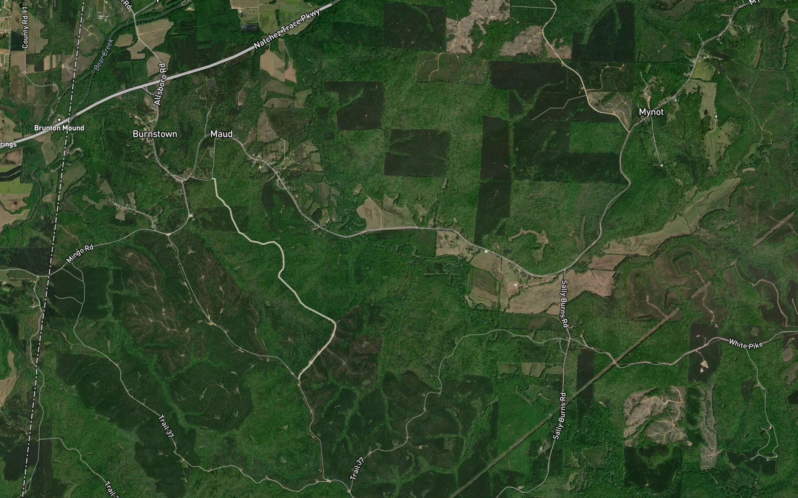Boldin Mill Branch