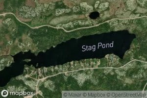 Stag Pond