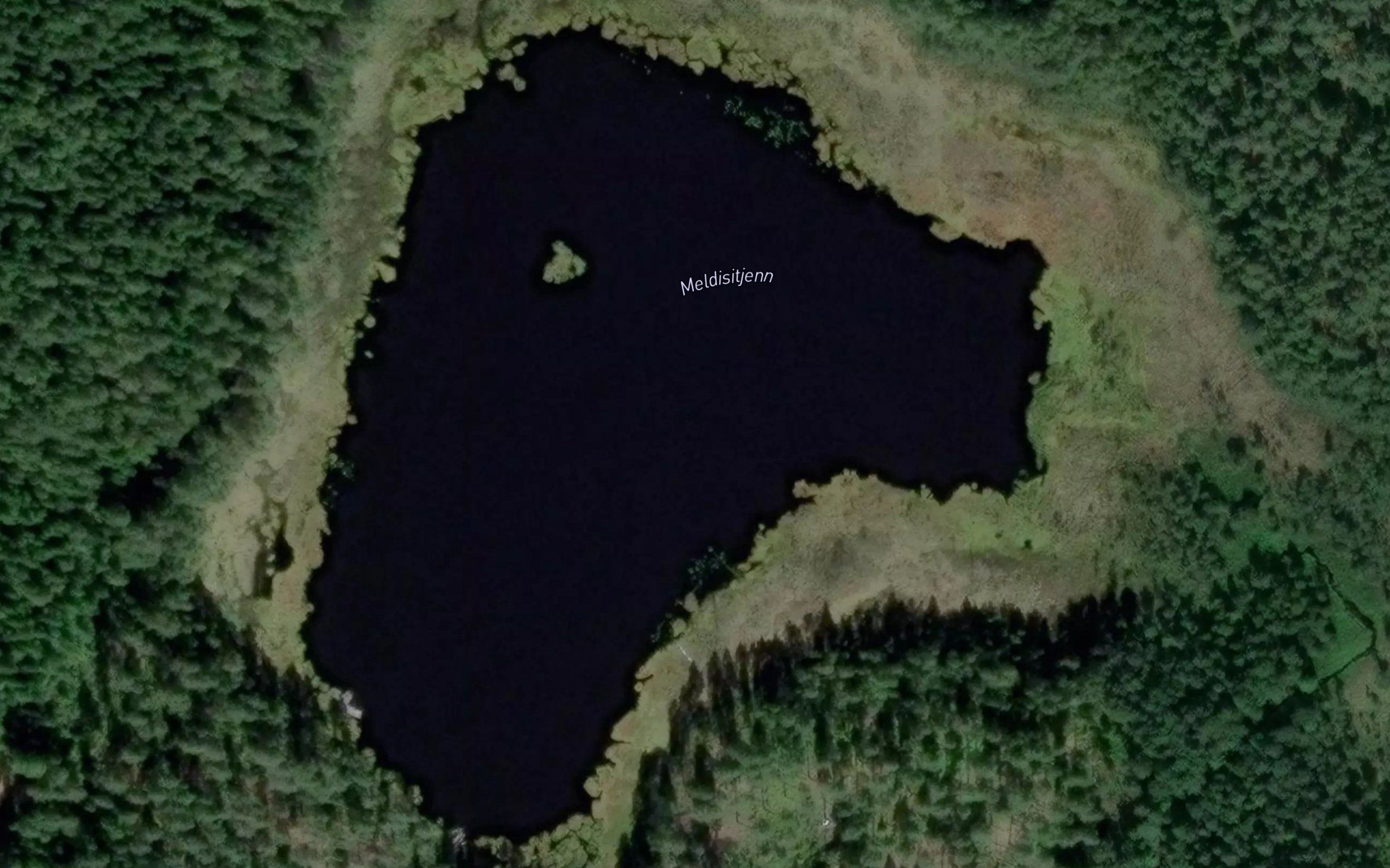 Meldisitjern