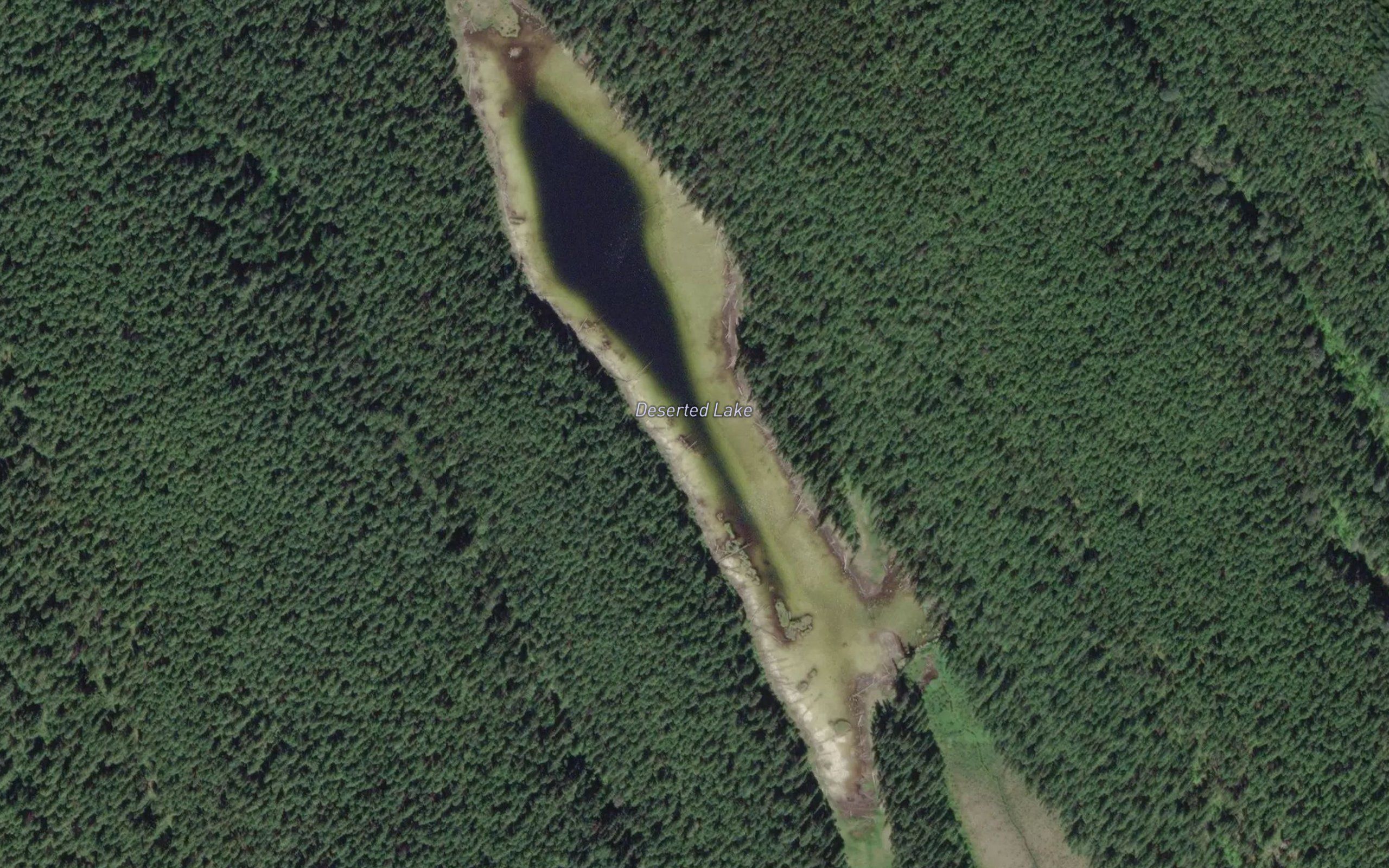 Deserted Lake