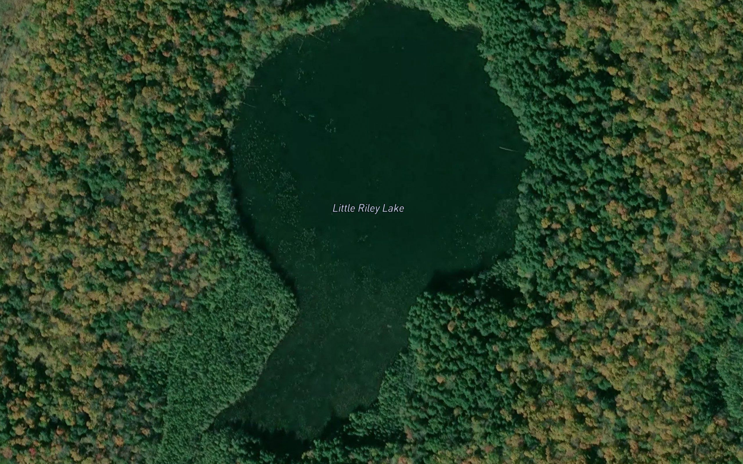 Little Riley Lake