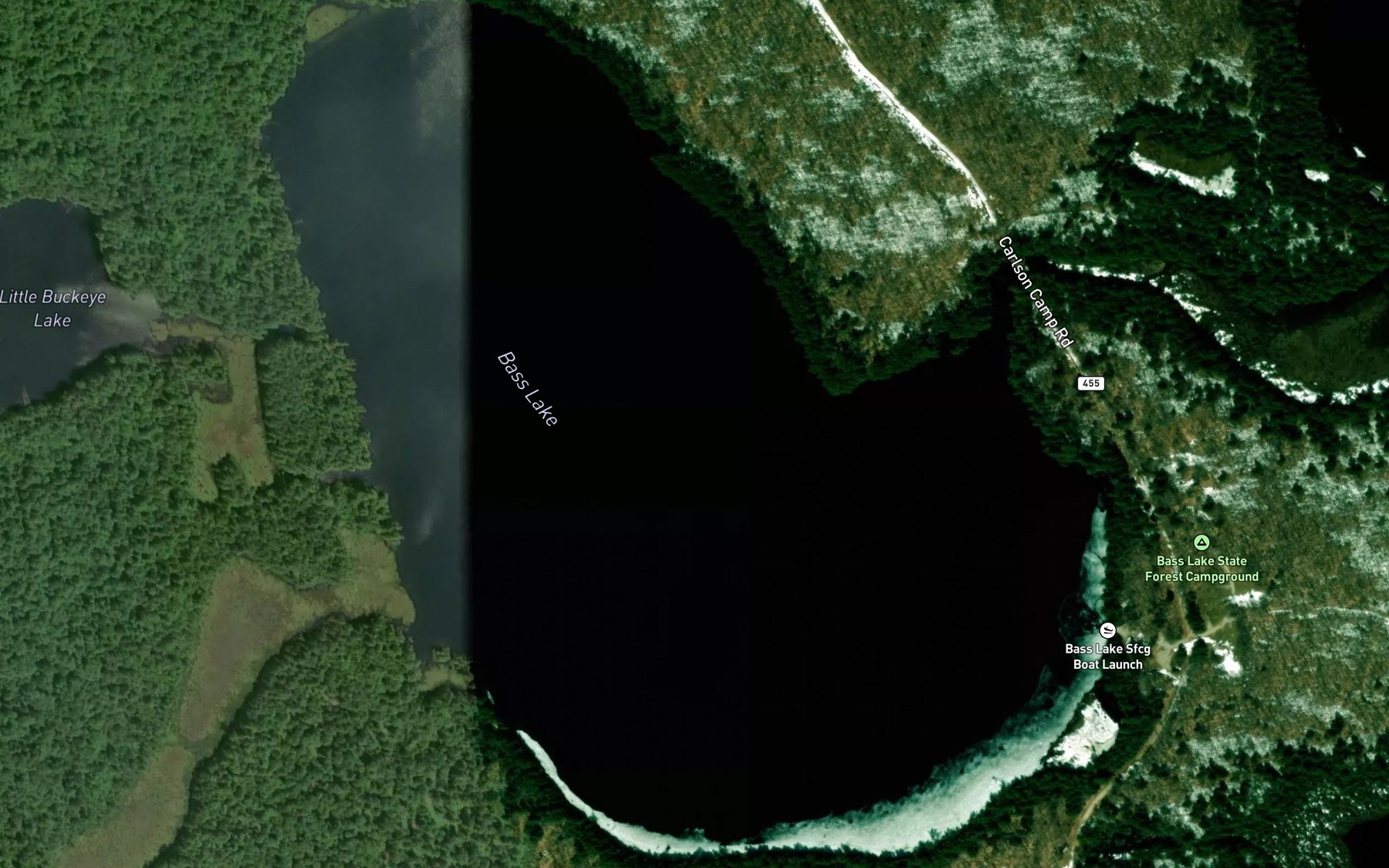 Satellite map of the Bass Lake