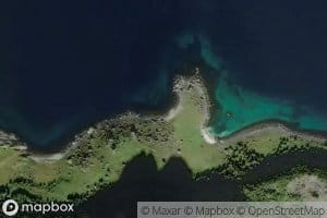 Heimvika