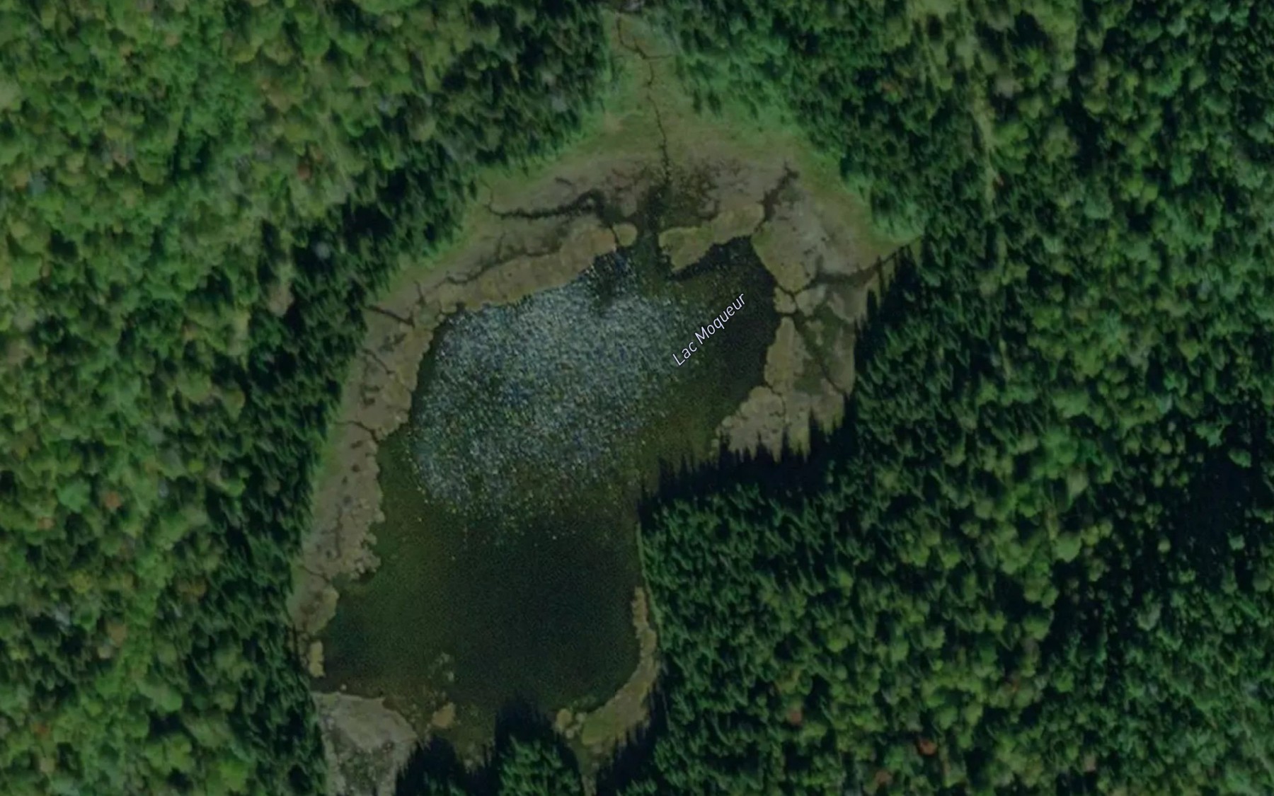 Satellite map of the Lac Moqueur