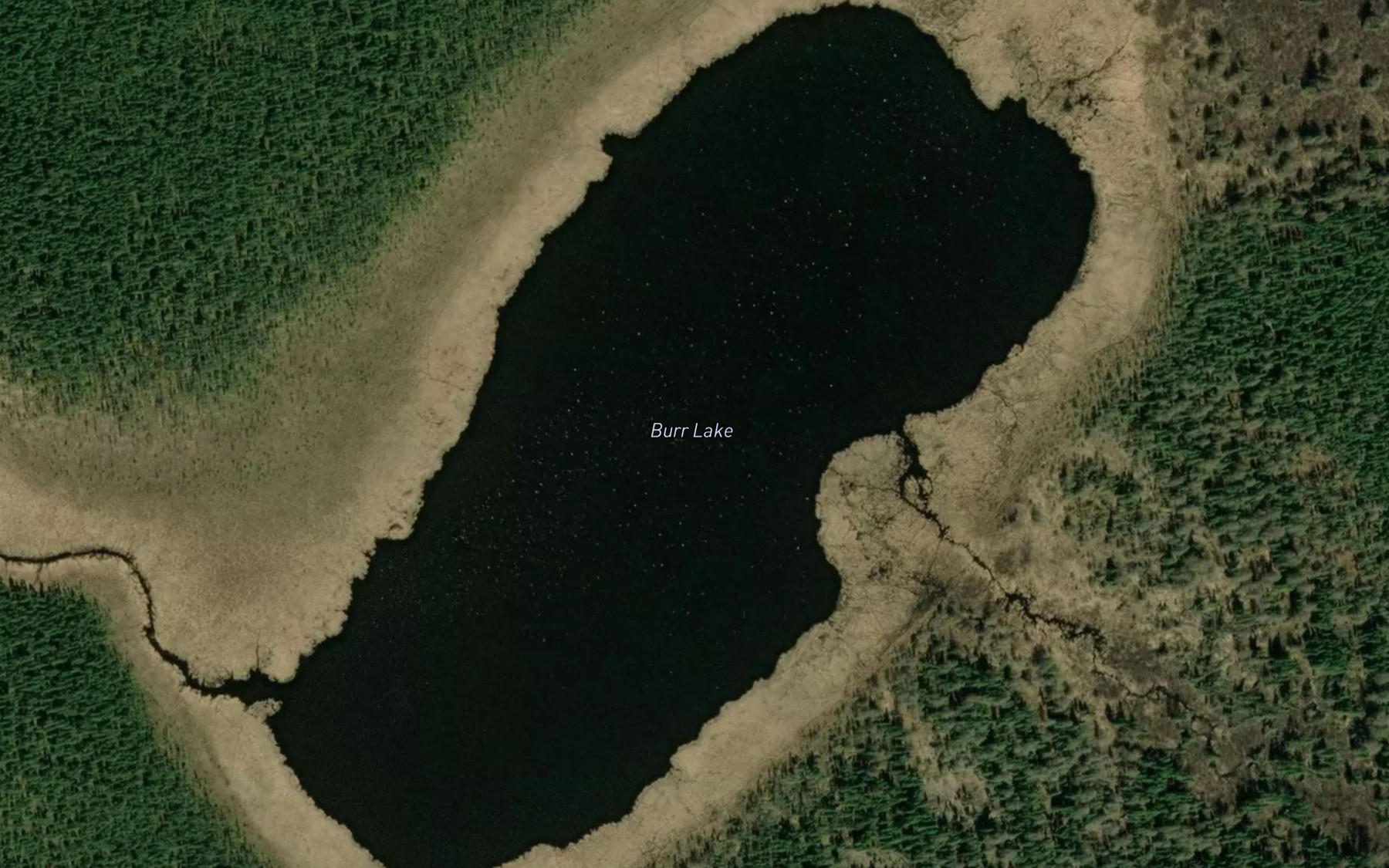 Satellite map of the Burr Lake
