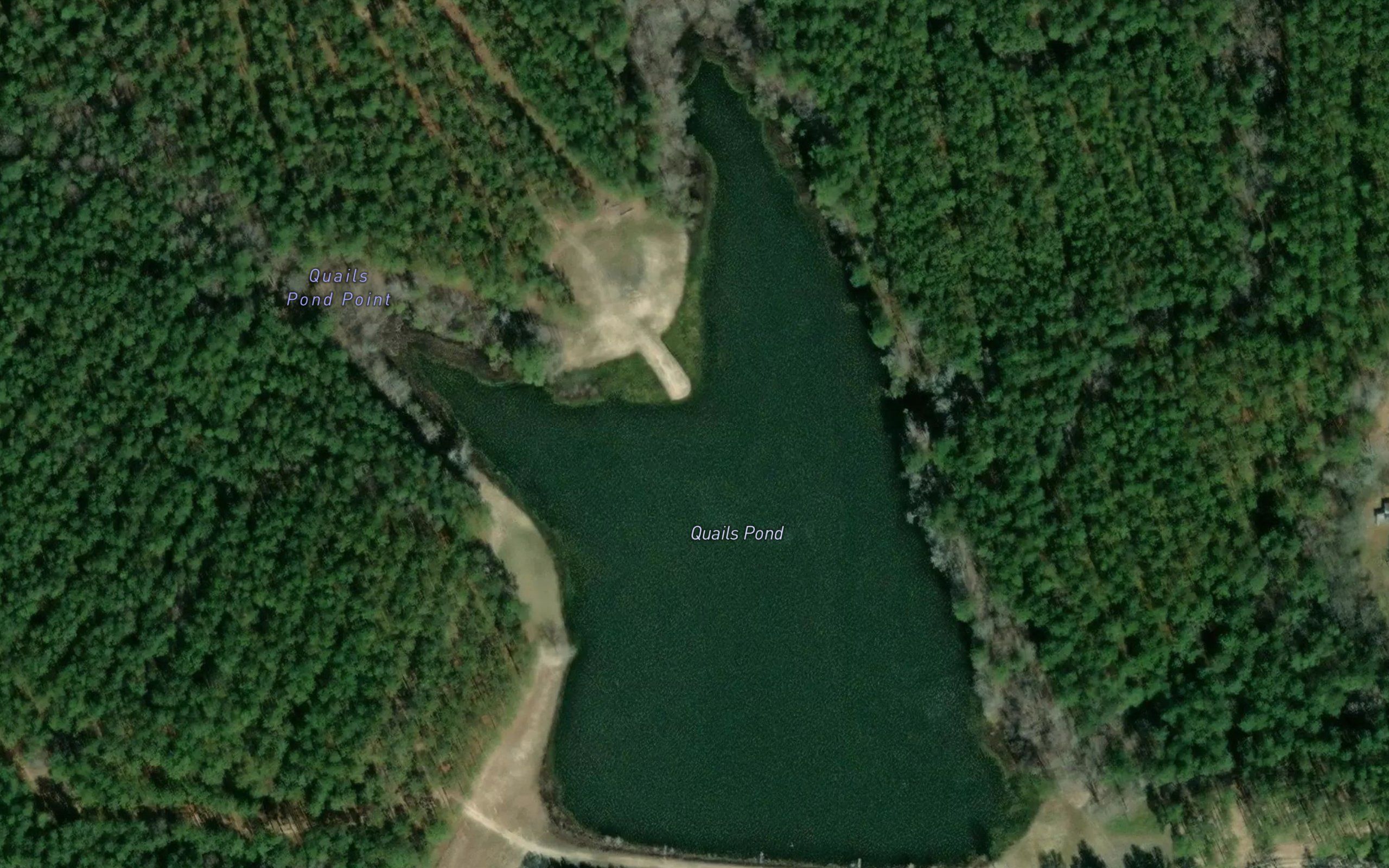 Quails Pond