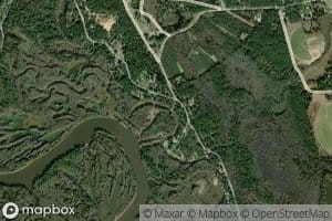 Gum Pond