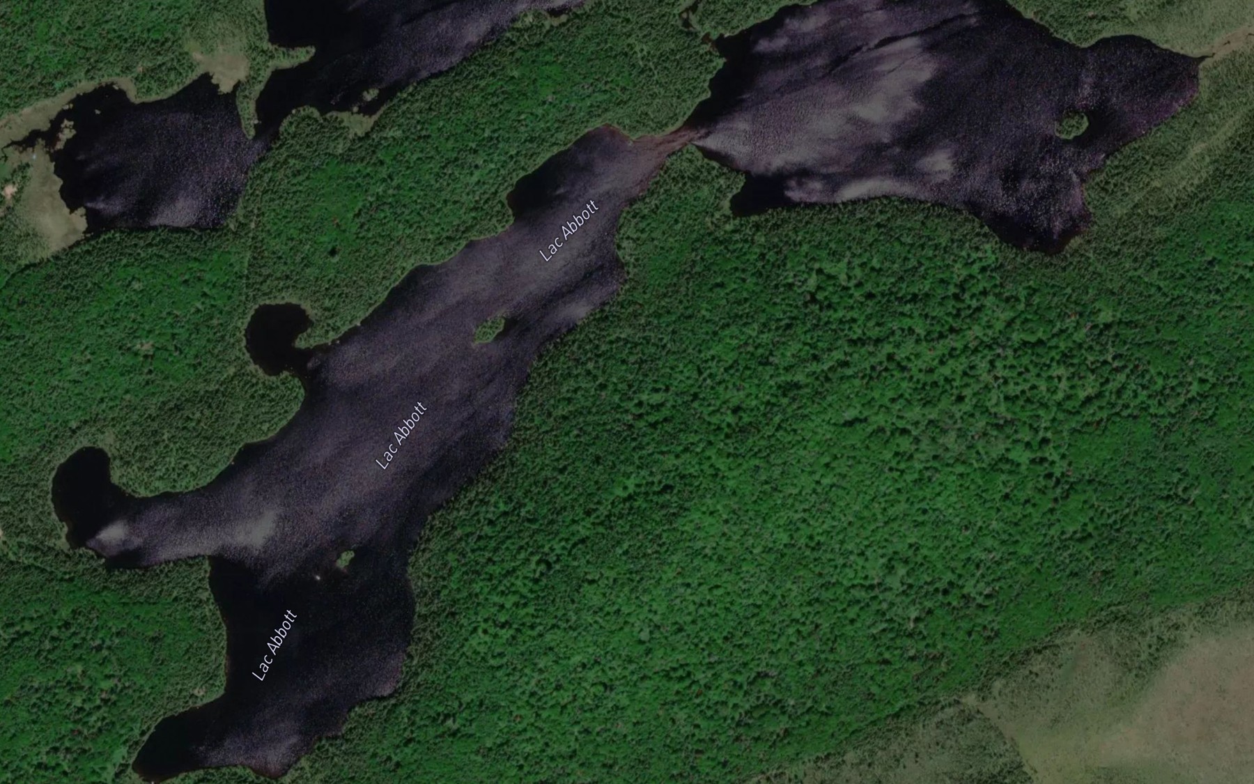 Satellite map of the Lac Abbott