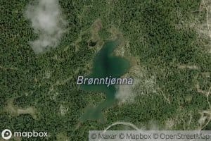 Bronnatjorna