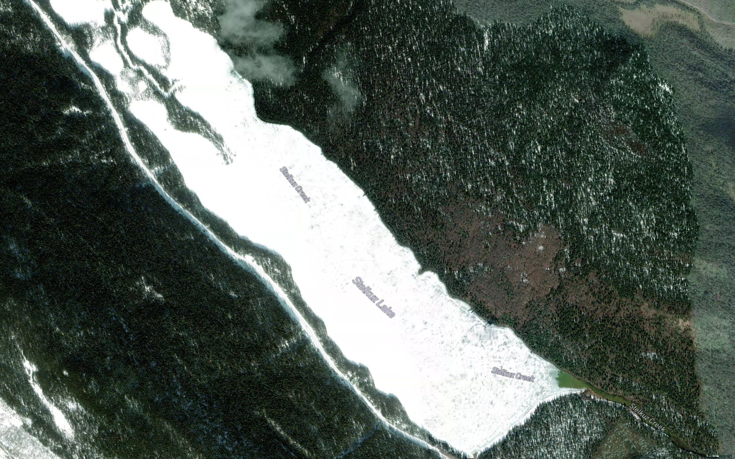 Stelkuz Lake
