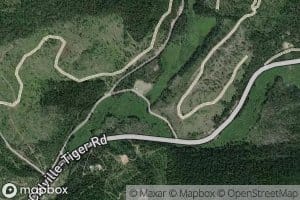 Amazon Creek
